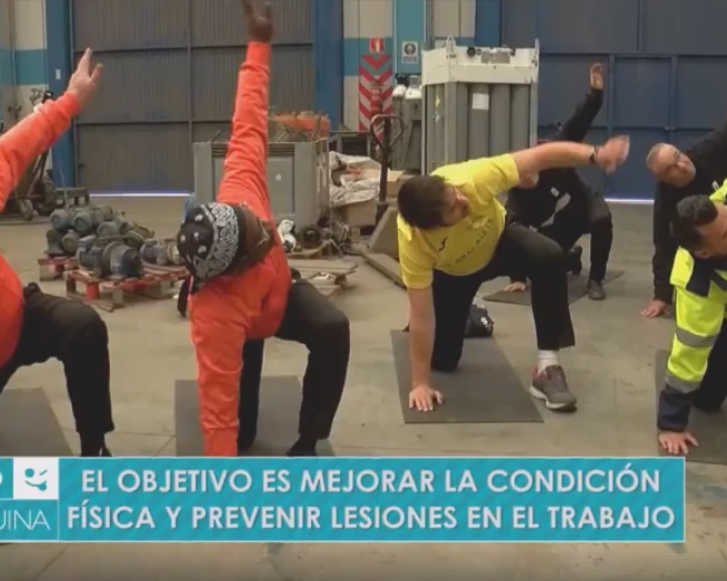 Reportaje Afysal 7 Televisión Región de Murcia